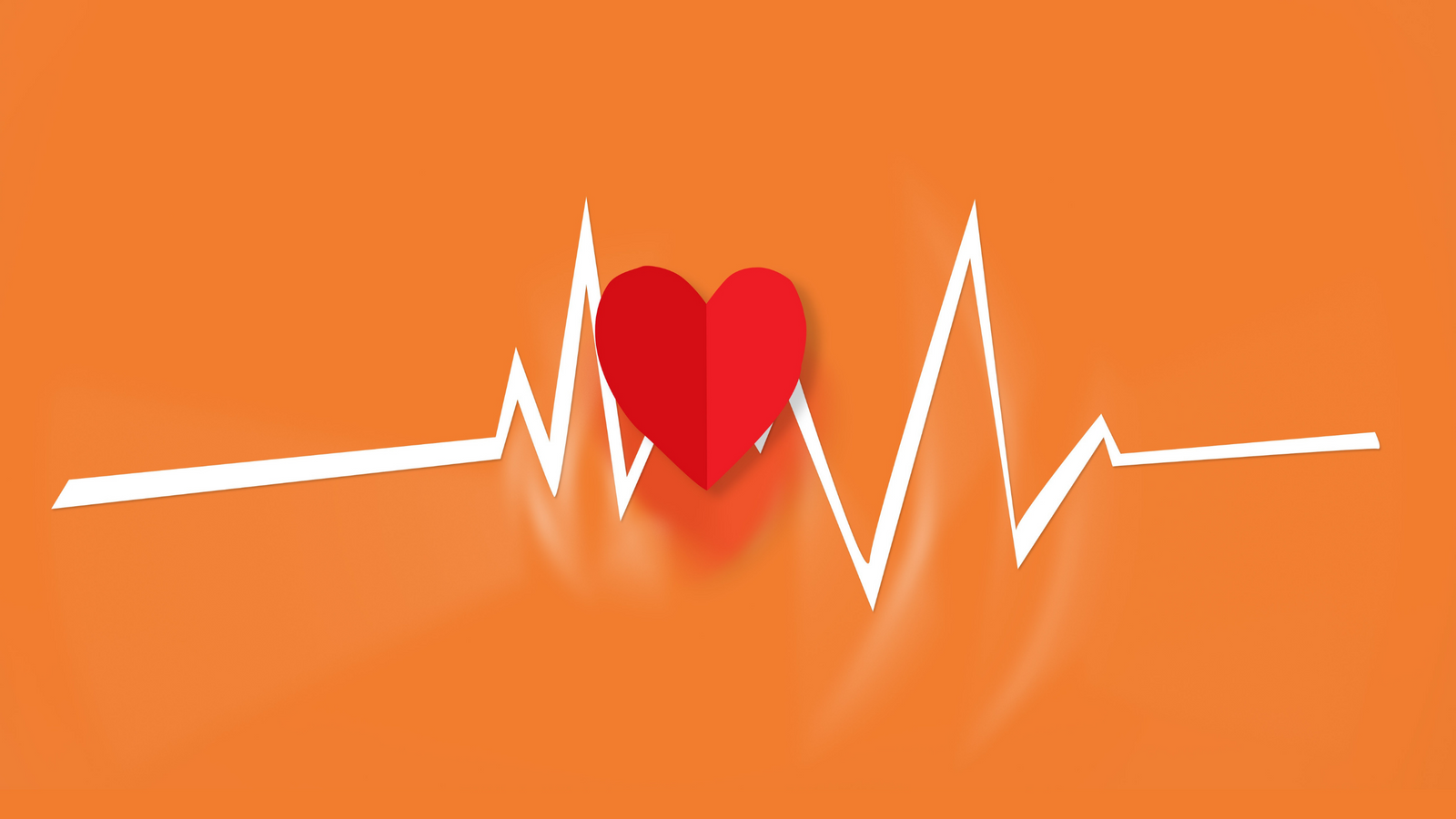 Obesity, Heart Disease and Curcumin